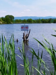 Video: Mokradiam na hornej Nitre hrozí zánik - Košovské jazerá a Laskár 7