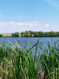 Video: Mokradiam na hornej Nitre hrozí zánik - Košovské jazerá a Laskár 9