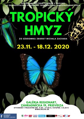 Tropický hmyz