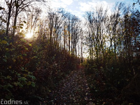 Foto a video: Jesenná Jančekova skala - tip na výlet - túra 1