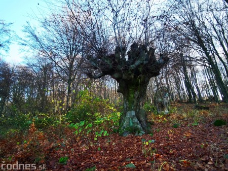 Foto a video: Jesenná Jančekova skala - tip na výlet - túra 3