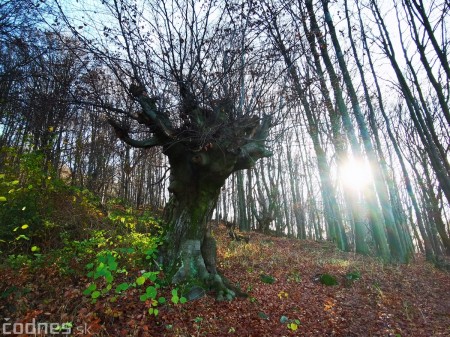 Foto a video: Jesenná Jančekova skala - tip na výlet - túra 4
