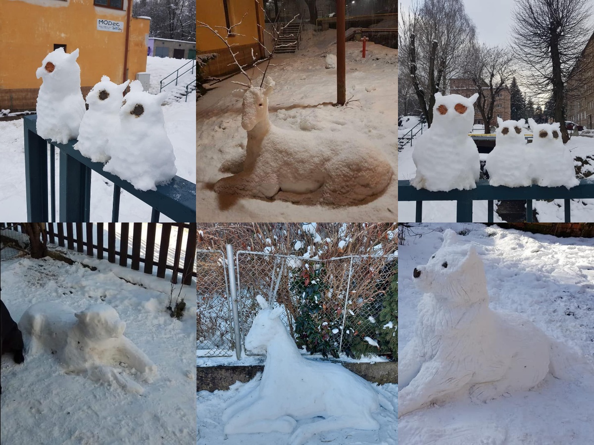 Video: Snehové sochy v záhradách