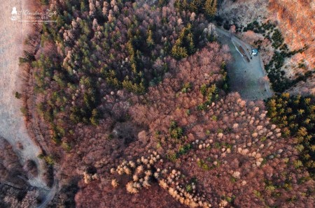 Foto a video: Pútnické miesto - kaplnka Poruba. K pútnickému miestu v Porube sa viaže legenda. 13