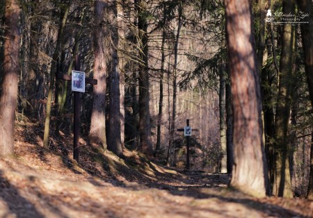 Foto a video: Pútnické miesto - kaplnka Poruba. K pútnickému miestu v Porube sa viaže legenda. 16