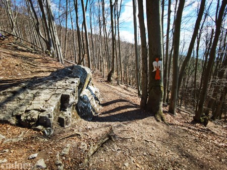 Foto a video: Temešská skala - okres Prievidza - tip na výlet - túra 13