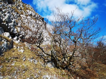 Foto a video: Temešská skala - okres Prievidza - tip na výlet - túra 23