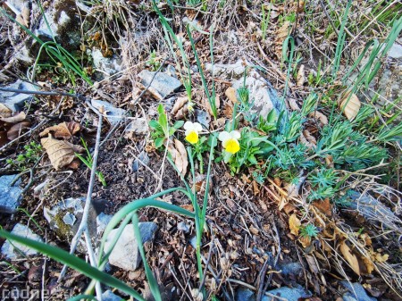 Foto a video: Temešská skala - okres Prievidza - tip na výlet - túra 44