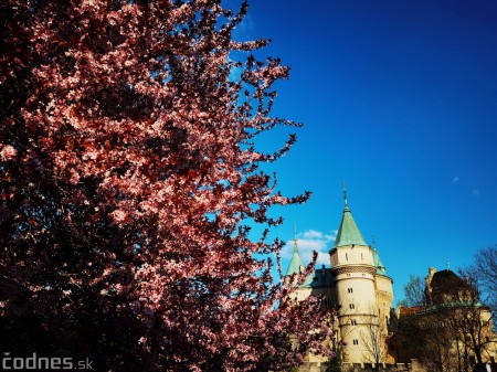 Foto: Rozkvitnuté Bojnice a okolie Bojnického zámku 4