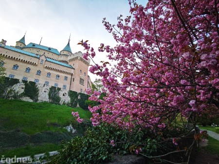 Foto: Rozkvitnuté Bojnice a okolie Bojnického zámku 5