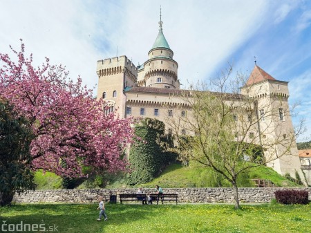 Foto: Rozkvitnuté Bojnice a okolie Bojnického zámku 7