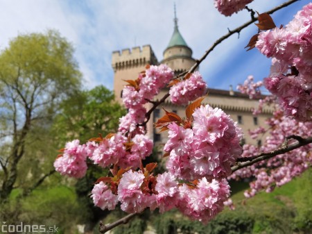 Foto: Rozkvitnuté Bojnice a okolie Bojnického zámku 15