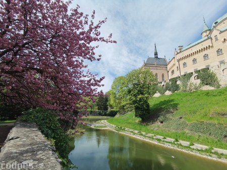 Foto: Rozkvitnuté Bojnice a okolie Bojnického zámku 16