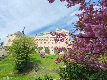 Foto: Rozkvitnuté Bojnice a okolie Bojnického zámku 17