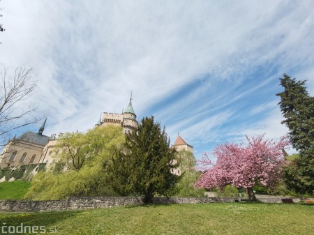 Foto: Rozkvitnuté Bojnice a okolie Bojnického zámku 19