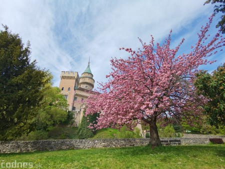 Foto: Rozkvitnuté Bojnice a okolie Bojnického zámku 22