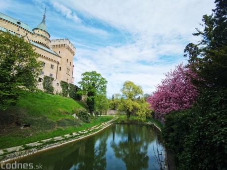 Foto: Rozkvitnuté Bojnice a okolie Bojnického zámku 24