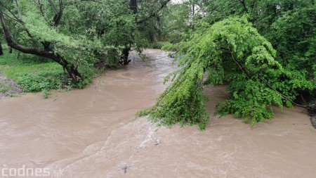 Foto a video: Povodeň - záplavy Mestský park Prievidza 17.5.2021 7