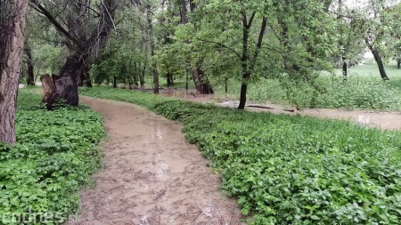 Foto a video: Povodeň - záplavy Mestský park Prievidza 17.5.2021 9
