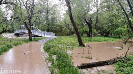 Foto a video: Povodeň - záplavy Mestský park Prievidza 17.5.2021 11