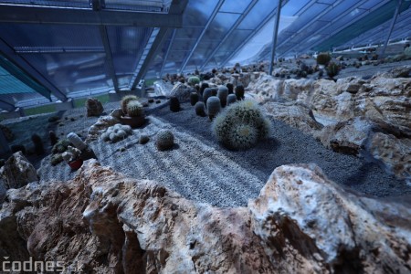 Foto a video: V Bojniciach otvorili novú unikátnu atrakciu Botany Park Bojnice (kaktusárium) 23