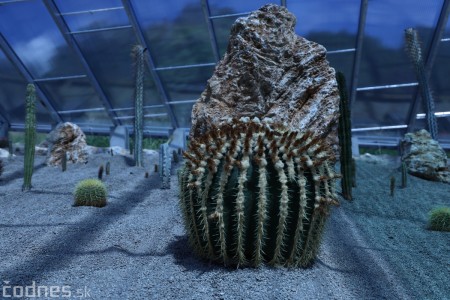 Foto a video: V Bojniciach otvorili novú unikátnu atrakciu Botany Park Bojnice (kaktusárium) 31