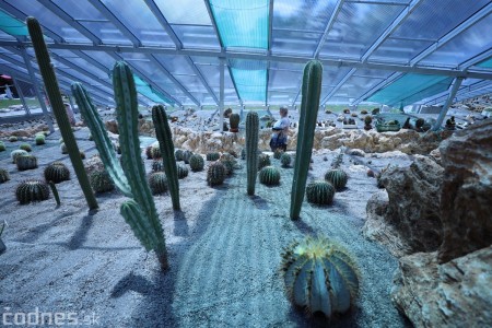 Foto a video: V Bojniciach otvorili novú unikátnu atrakciu Botany Park Bojnice (kaktusárium) 55