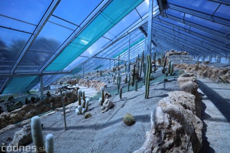 Foto a video: V Bojniciach otvorili novú unikátnu atrakciu Botany Park Bojnice (kaktusárium) 60