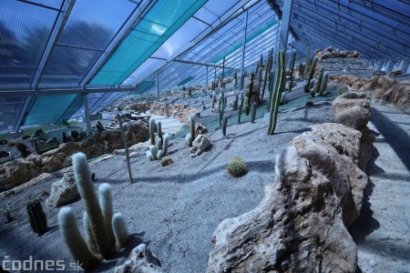 Foto a video: V Bojniciach otvorili novú unikátnu atrakciu Botany Park Bojnice (kaktusárium) 63