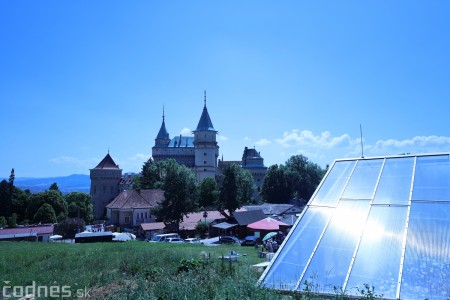 Foto a video: V Bojniciach otvorili novú unikátnu atrakciu Botany Park Bojnice (kaktusárium) 69