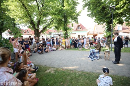 Foto: Nový projekt Legendy ožívajú zaplnil Bojnice 28