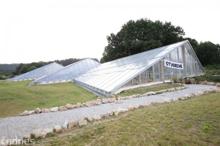 Foto a video: V Bojniciach otvorili novú unikátnu atrakciu Botany Park Bojnice (kaktusárium) 40