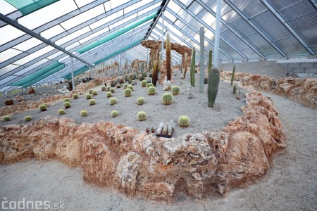 Foto a video: V Bojniciach otvorili novú unikátnu atrakciu Botany Park Bojnice (kaktusárium) 72