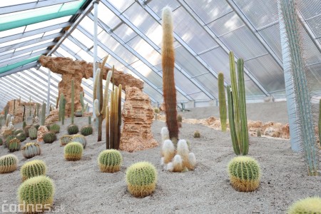 Foto a video: V Bojniciach otvorili novú unikátnu atrakciu Botany Park Bojnice (kaktusárium) 10