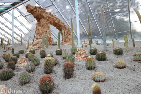 Foto a video: V Bojniciach otvorili novú unikátnu atrakciu Botany Park Bojnice (kaktusárium) 48