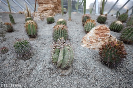 Foto a video: V Bojniciach otvorili novú unikátnu atrakciu Botany Park Bojnice (kaktusárium) 75