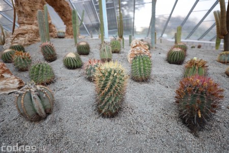 Foto a video: V Bojniciach otvorili novú unikátnu atrakciu Botany Park Bojnice (kaktusárium) 76