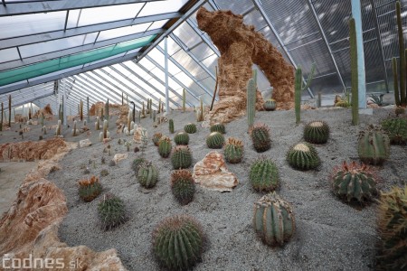 Foto a video: V Bojniciach otvorili novú unikátnu atrakciu Botany Park Bojnice (kaktusárium) 77