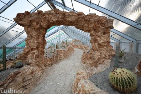 Foto a video: V Bojniciach otvorili novú unikátnu atrakciu Botany Park Bojnice (kaktusárium) 84