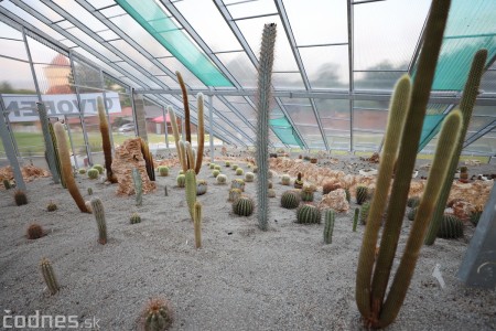 Foto a video: V Bojniciach otvorili novú unikátnu atrakciu Botany Park Bojnice (kaktusárium) 85