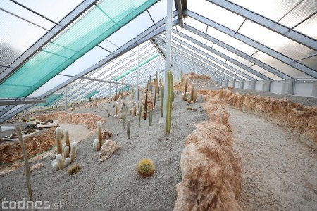 Foto a video: V Bojniciach otvorili novú unikátnu atrakciu Botany Park Bojnice (kaktusárium) 86