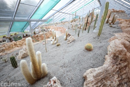 Foto a video: V Bojniciach otvorili novú unikátnu atrakciu Botany Park Bojnice (kaktusárium) 87