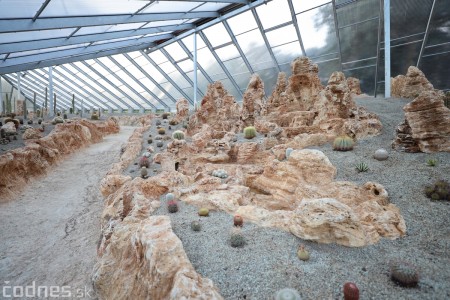 Foto a video: V Bojniciach otvorili novú unikátnu atrakciu Botany Park Bojnice (kaktusárium) 92