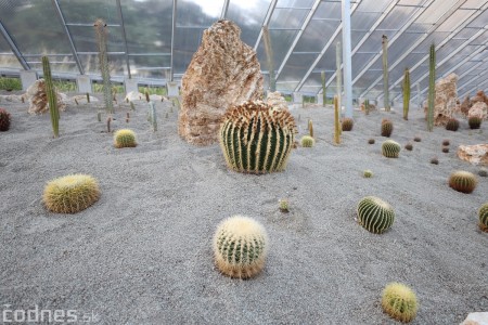 Foto a video: V Bojniciach otvorili novú unikátnu atrakciu Botany Park Bojnice (kaktusárium) 97