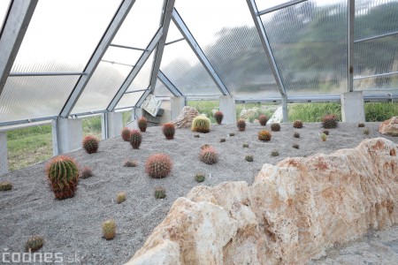 Foto a video: V Bojniciach otvorili novú unikátnu atrakciu Botany Park Bojnice (kaktusárium) 100