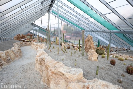 Foto a video: V Bojniciach otvorili novú unikátnu atrakciu Botany Park Bojnice (kaktusárium) 101