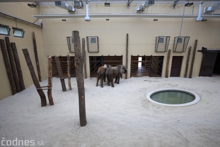 Foto a video: Nový pavilón slonov v ZOO Bojnice za 8 miliónov eur dnes slávnostne otvorili 7