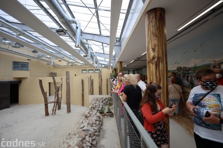 Foto a video: Nový pavilón slonov v ZOO Bojnice za 8 miliónov eur dnes slávnostne otvorili 8