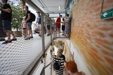 Foto a video: Nový pavilón slonov v ZOO Bojnice za 8 miliónov eur dnes slávnostne otvorili 9