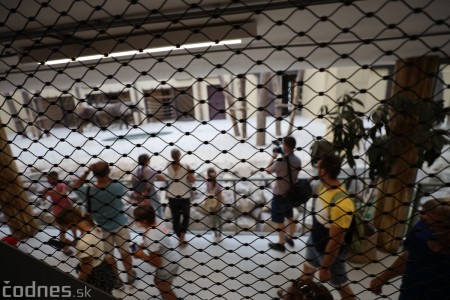 Foto a video: Nový pavilón slonov v ZOO Bojnice za 8 miliónov eur dnes slávnostne otvorili 10